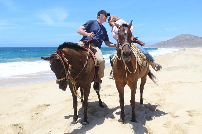 Cabo White Sand Horseback Riding Tour and Tequila Tasting - What the horses and pace are like