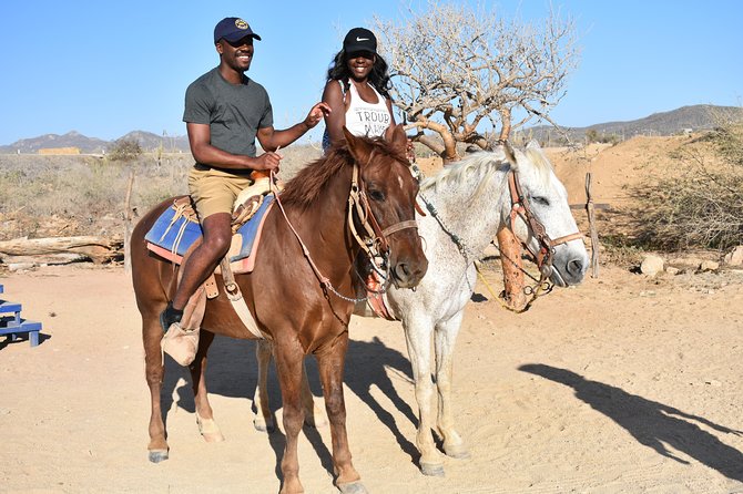 Cabo White Sand Horseback Riding Tour and Tequila Tasting - The real price is closer to $110 before extras