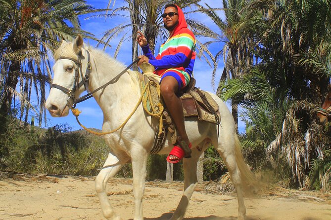 Cabo White Sand Horseback Riding Tour and Tequila Tasting - Who will enjoy this ride most
