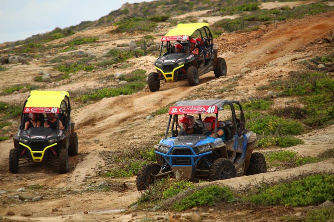 Cabo Wild Desert Tour, Polaris ATV or Razor Single, Double, Triple or Quad! - Choosing between an ATV and a RZR