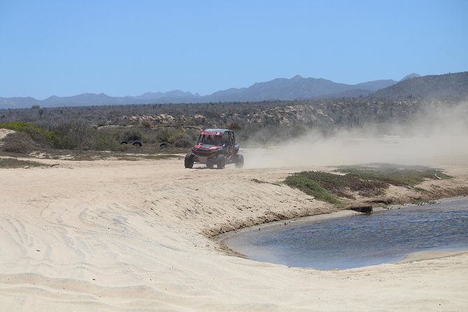 Cabo Wild Desert Tour, Polaris ATV or Razor Single, Double, Triple or Quad! - Gear, clothing, and comfort