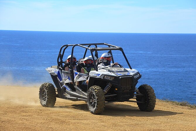 Cactus Combo Combine two of your favorite desert tours - Pickup and check-in require patience