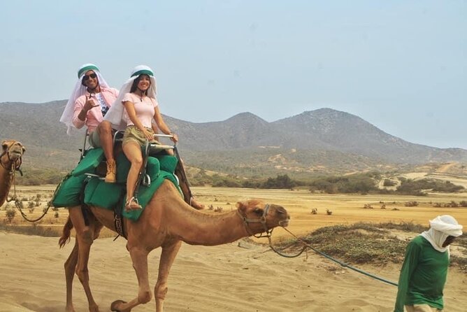 Cactus Combo Combine two of your favorite desert tours - What to bring and what to leave behind