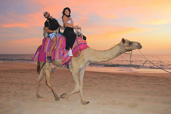 Camel Encounter and Safari Ride with Lunch and Alcohol Tasting - Riding camels beside the Pacific