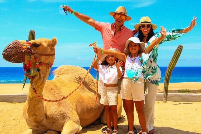 Camel Encounter and Safari Ride with Lunch and Alcohol Tasting - Tacos, fajitas, and a small tequila tasting