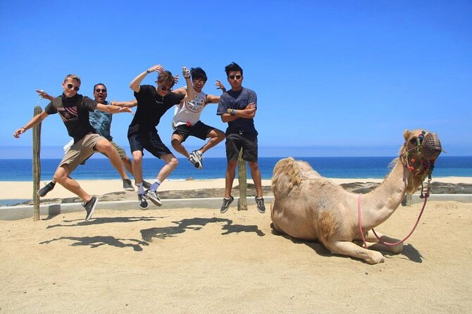 Camel Encounter and Safari Ride with Lunch and Alcohol Tasting - The photo and phone policy needs careful attention