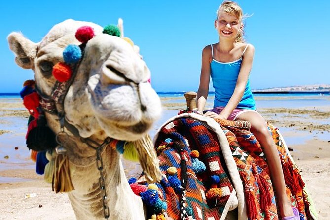 Camel Encounter and Safari Ride with Lunch and Alcohol Tasting - Who will enjoy this outing most