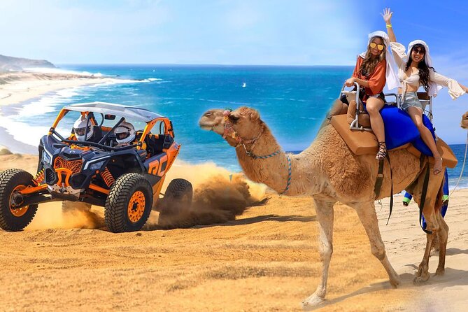 Camel Ride and UTV Combo Adventure, with Tequila Tasting - Quick points to know before you book