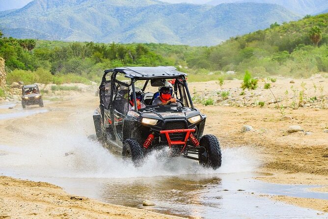 Camel Ride and UTV Combo Adventure, with Tequila Tasting - Trading camel saddles for UTV power