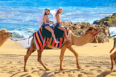 Camel Ride and UTV Combo Adventure, with Tequila Tasting