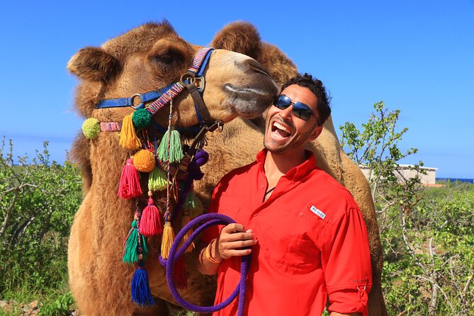 Camel Ride and UTV Combo Adventure, with Tequila Tasting - Sand dunes, ocean cliffs, and the photo problem