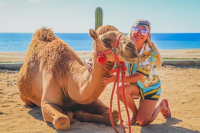 Camel Ride and UTV Combo Adventure, with Tequila Tasting - Tequila tasting at the ranch