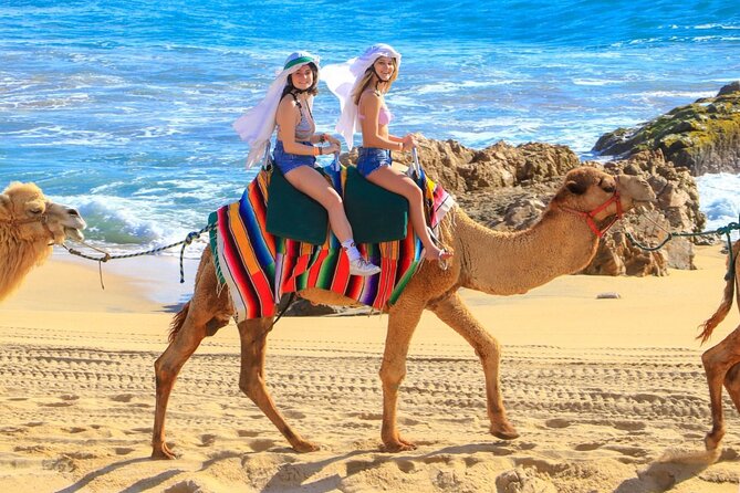 Camel Ride and UTV Combo Adventure, with Tequila Tasting - One hour beside the Pacific at Migriño Beach