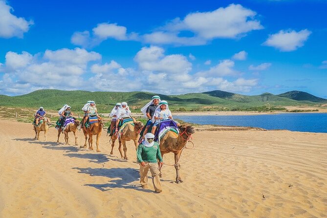 Camel Ride & ATV Combo in Migriño, Mexico - Key points to know before you book