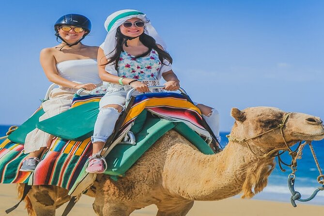 Camel Ride & ATV Combo in Migriño, Mexico - What this Migriño combo actually feels like