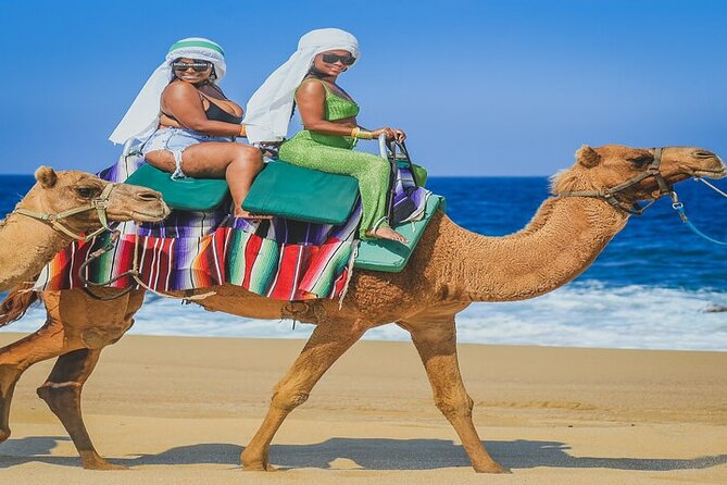 Camel Ride & ATV Combo in Migriño, Mexico - One hour on an ATV in Migriño