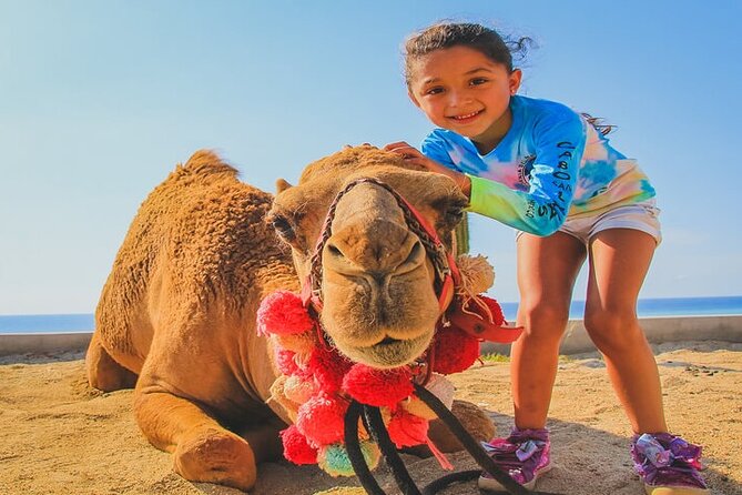 Camel Ride & ATV Combo in Migriño, Mexico - Migriño Beach and the Troy connection