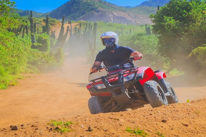 Camel Ride & ATV Combo in Migriño, Mexico - Birds, iguanas, tacos, and tequila