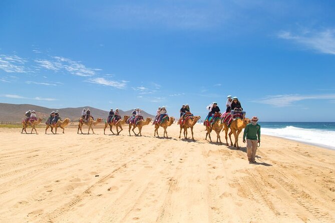 Camel Ride & ATV Combo in Migriño, Mexico - Hotel pickup makes the morning easier
