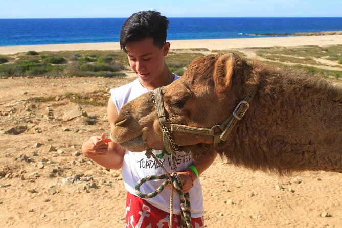 Camel Ride & Encounter at Los Cabos - A camel ride with a Pacific backdrop