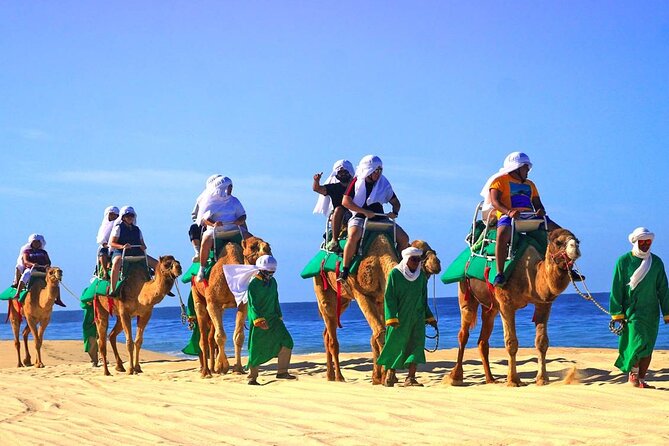 Camel Ride & Encounter at Los Cabos - Pickup is helpful, but confirm it carefully