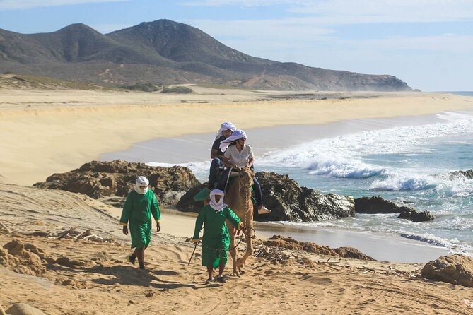 Camel Ride & Encounter at Los Cabos - Walking through Baja’s dry-country plants