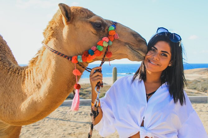 Camel Ride Experience in Los Cabos with Pick up and Lunch - Meeting the Camels Before the Ride