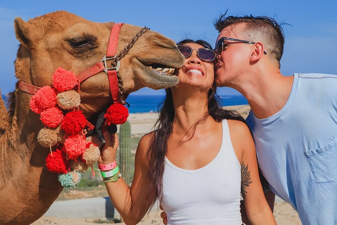 Camel Ride Experience in Los Cabos with Pick up and Lunch - Riding Across Migriño Beach and Desert