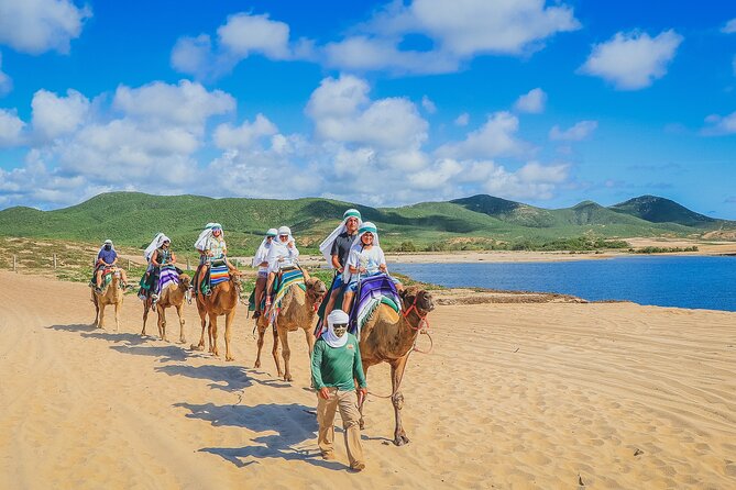 Camel Ride Experience in Los Cabos with Pick up and Lunch - Pickup Makes the Two-Hour Visit Easier