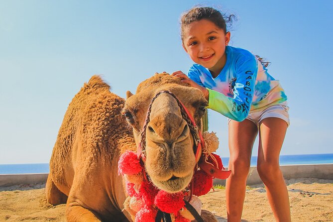 Camel Ride Experience in Los Cabos with Pick up and Lunch - Timing, Weather, and Cancellation Rules