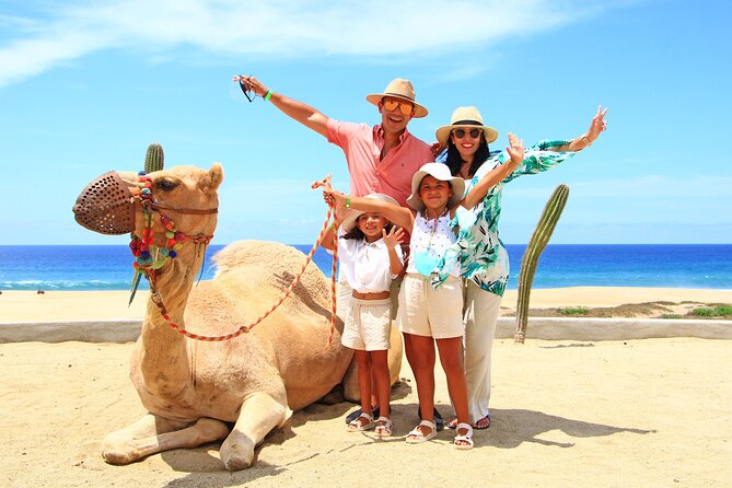 Camel Ride Experience in Los Cabos with Pick up and Lunch - Tacos and Traditional Flavored Water Afterward