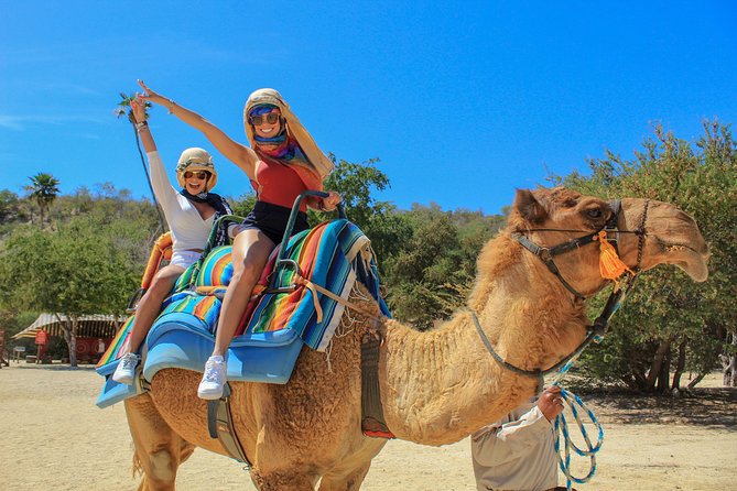 Camel Ride in the Canyon + Thrilling Water-Slides & Snacks - Key points before you book