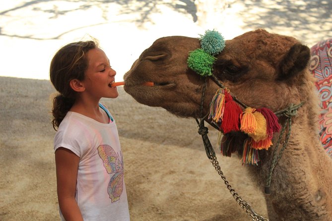 Camel Ride in the Canyon + Thrilling Water-Slides & Snacks - Feeding the camel and the famous kiss