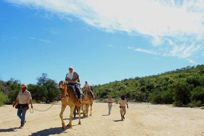 Camel Ride in the Canyon + Thrilling Water-Slides & Snacks - The rescued-animal sanctuary