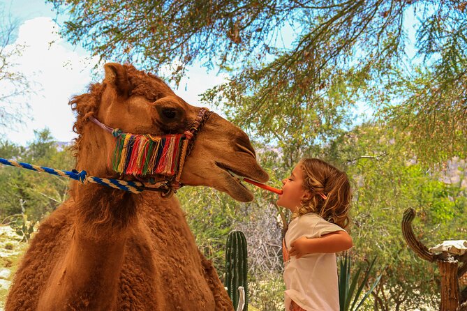 Camel Ride in the Canyon + Thrilling Water-Slides & Snacks - Water slides, snacks, and the $25 park fee