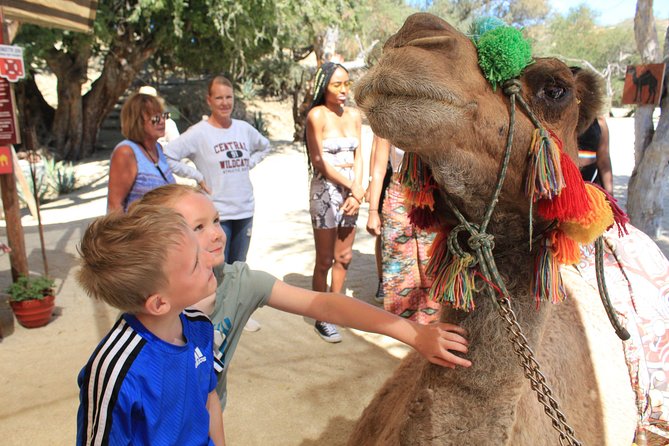 Camel Ride in the Canyon + Thrilling Water-Slides & Snacks - Getting ready for the heat and dust