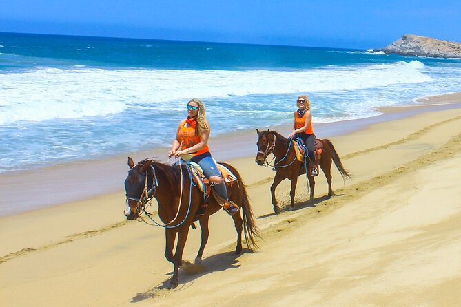 Camel Ride Tour in Los Cabos - Key points to know before booking