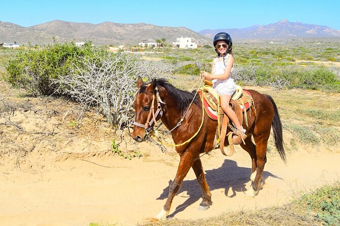 Camel Ride Tour in Los Cabos - Why a camel ride makes sense in Los Cabos
