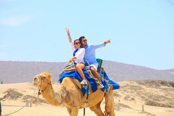 Camel riding experience on the shores of the Pacific Ocean - Key points to know before you book