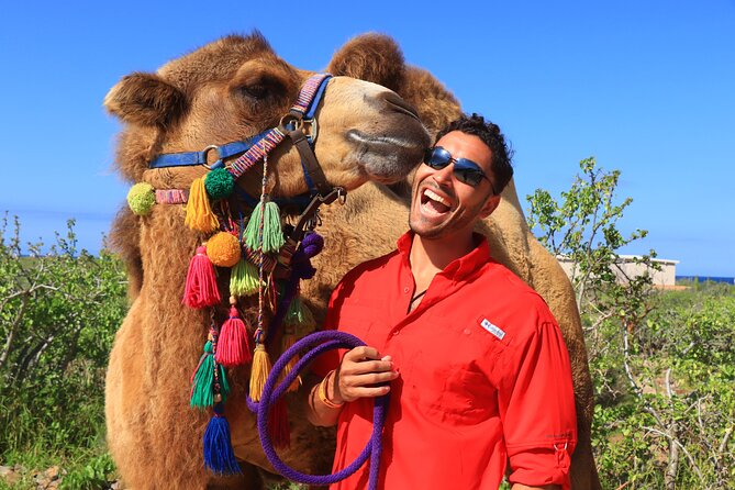 Camel riding experience on the shores of the Pacific Ocean - Guides can shape the whole outing