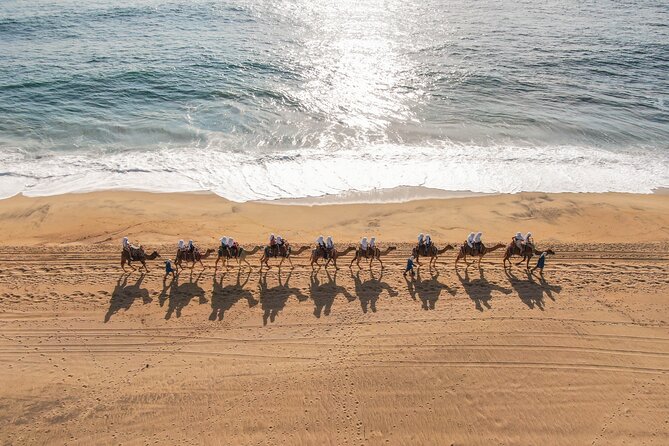 Camel riding experience on the shores of the Pacific Ocean - The meal is simple, local, and welcome