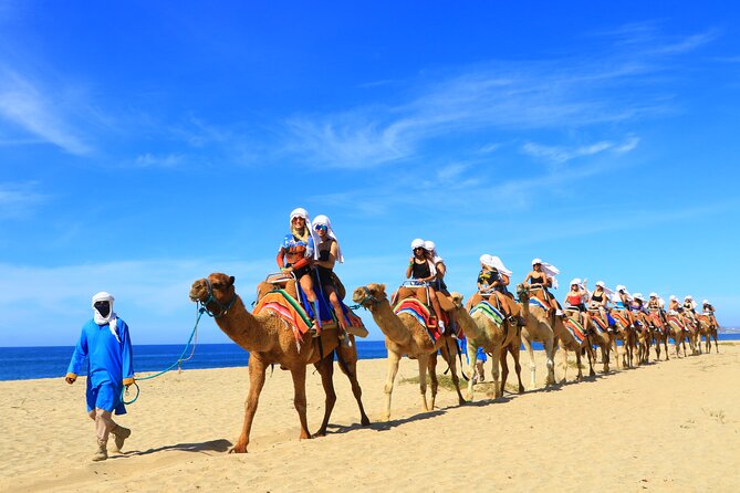 Camel riding experience on the shores of the Pacific Ocean - The real price is higher than $98.63