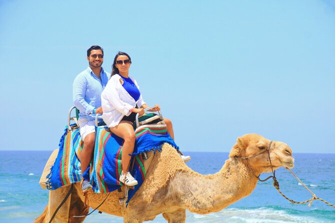 Camel riding experience on the shores of the Pacific Ocean - Hotel pickup saves effort, but allow extra time
