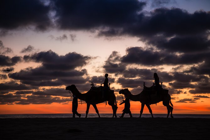 Camel riding experience on the shores of the Pacific Ocean - Who will get the most from this experience