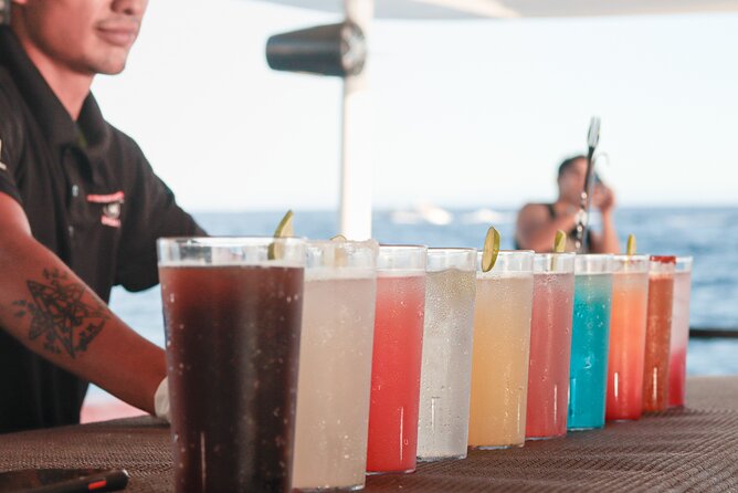 Catamaran - Luxury Private Tour - Should you book the Cabo private catamaran?