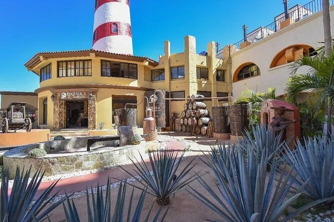 CityTour to San Jose, Cabo San Lucas and Arch Tour in Clearboat - Key points at a glance
