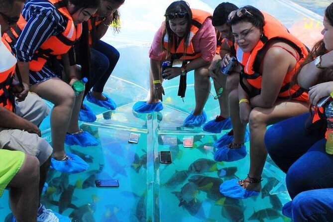 Clear Boat Ride in Los Cabos - What the crew adds to the ride