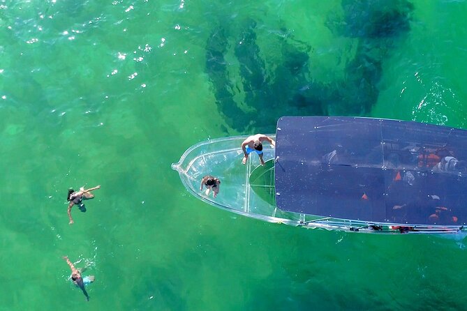 Clear Boat Ride in Los Cabos - Pickup, timing, and the marina choice