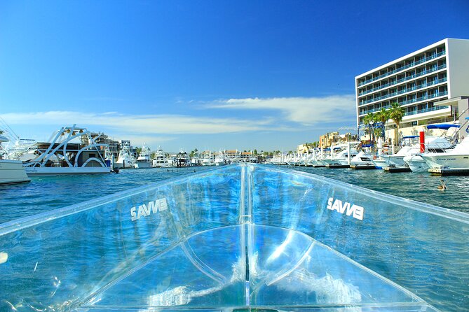 Clear Boat to Cabo Lands End, The Arch and more - Is the underwater view worth it?