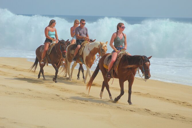 Combined ATV and Horseback Ride/Tequila Tasting - Is $179.33 a fair price?